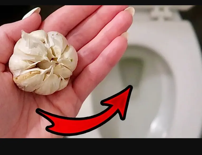 Vì sao nên thả 1 tép tỏi vào bồn cầu vào ban đêm? Biết công dụng, nhà nào cũng muốn học theo
