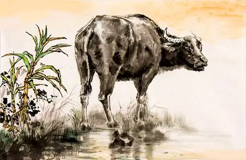 Sau đêm nay 3 tuổi thời tới cản không được, may mắn liên tục, no nê tài lộc giàu khủng