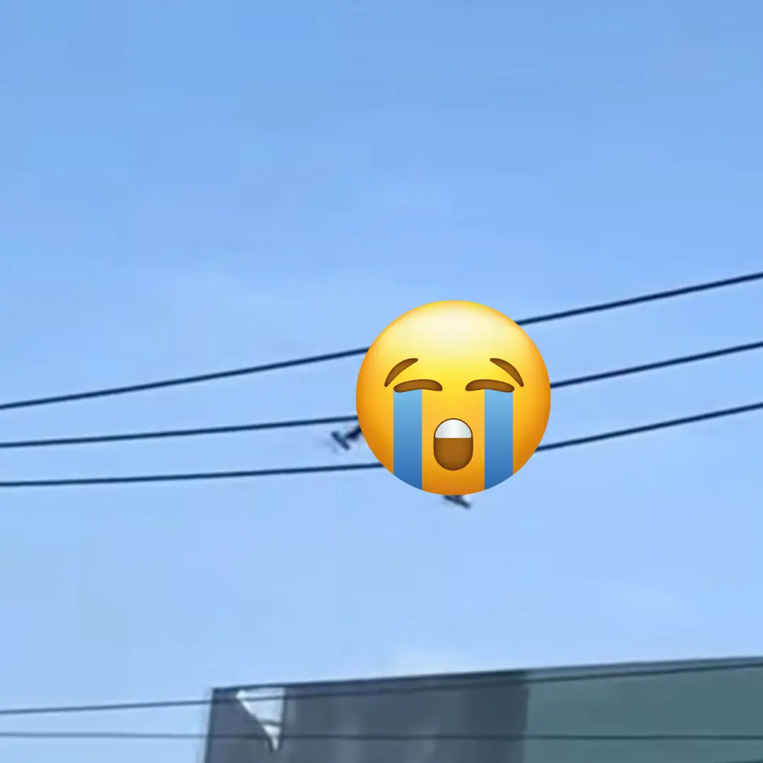 Vụ người phụ nữ bán vé số bò như "siêu nhân nhện" trên dây điện hạ thế ở TP.HCM: Camera tiết lộ khoảnh khắc thót tim
