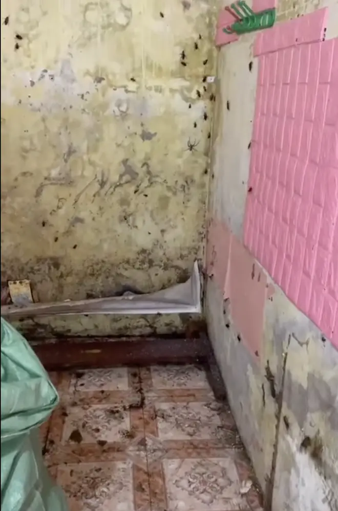 Vụ phòng trọ rác 'chất như núi' ở Ninh Bình: Hé l::::ộ bất ngờ về cô gái thuê phòng