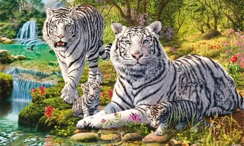 Nếu chồng bạn rơi vào 3 con giáp này thì “Dù nghèo đến đâu cũng đừng ly hôn”. Sớm muộn gì bạn cũng sẽ giàu có