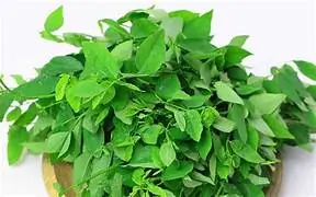 Cả thế giới mở tiệc ăn mừng vì mới phát hiện ra loại rau có khả năng chống UT gấp trăm lần thuốc đặc trị , Ở Việt Nam mọc đầy ra