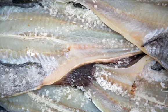 Loại cá được xếp vào nhóm gây UT cấp độ 1: Là món yêu thích của nhiều người