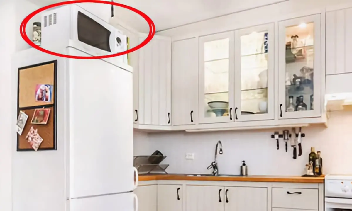 Nóc Tủ Lạnh Để 3 Thứ Này, Nhà Nhiều Của Cải Mấy Cũng Tiêu Tan: Đó Là 3 Thứ Gì?