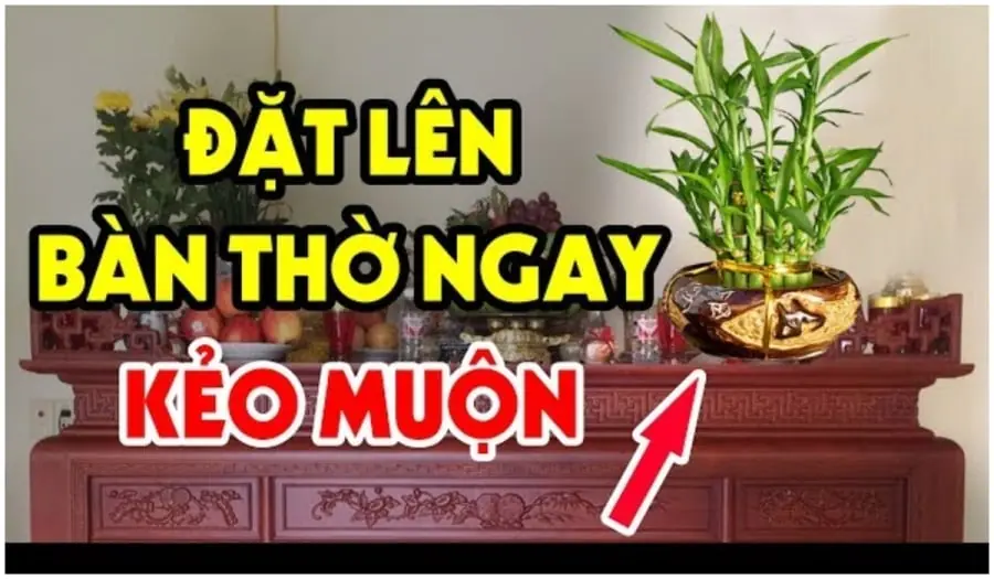 4 Cây Đệ Tử Thần Tài Đón Lộc Khí: Đặt Trên Bàn Thờ, Phúc Lộc Ba Đời