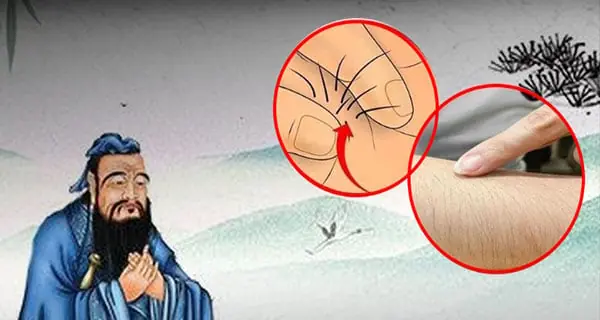 Tại sao người xưa lại nói: 'Nhất gái lông tay, nhì trai lông bụng'?