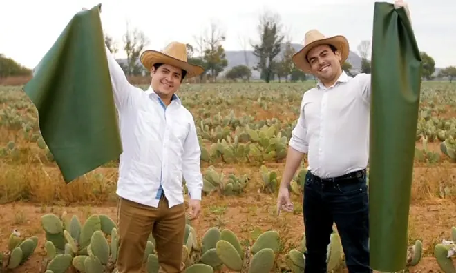 Doanh nhân Mexico tạo ra da từ cây xương rồng, cứu hơn 1 tỷ động vật mỗi năm