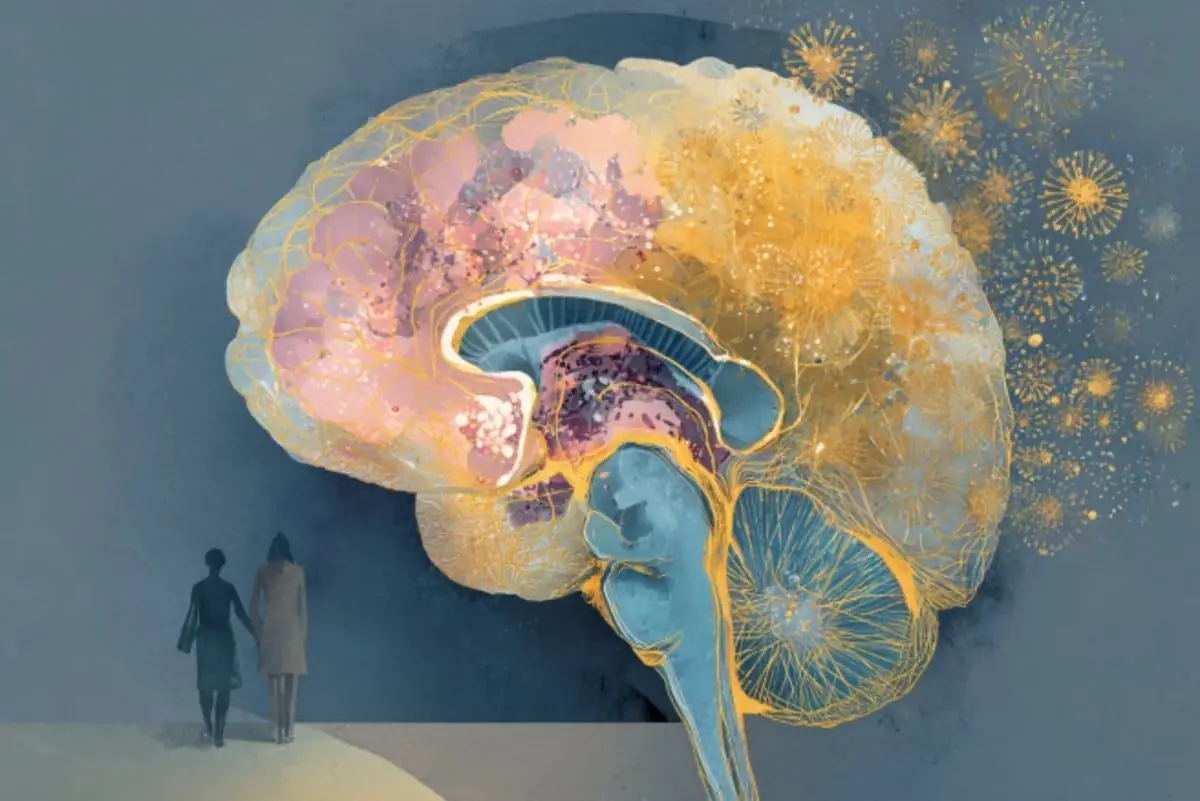 Các nhà khoa học bối rối khi phát hiện v:irus v:êm g:an C trong lớp lót 🧠 của những người mắc r:ối lo:ạn lưỡng cực và t:âm th:ần ph:ân l:iệt