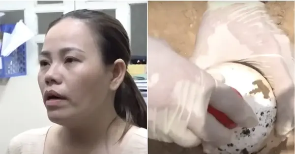 Toàn cảnh vụ xyanua ở Đồng Nai: 5 đ:ám t:ang trong 8 tháng hé lộ âm mưu r:ợn ng:ười suốt 2 năm
