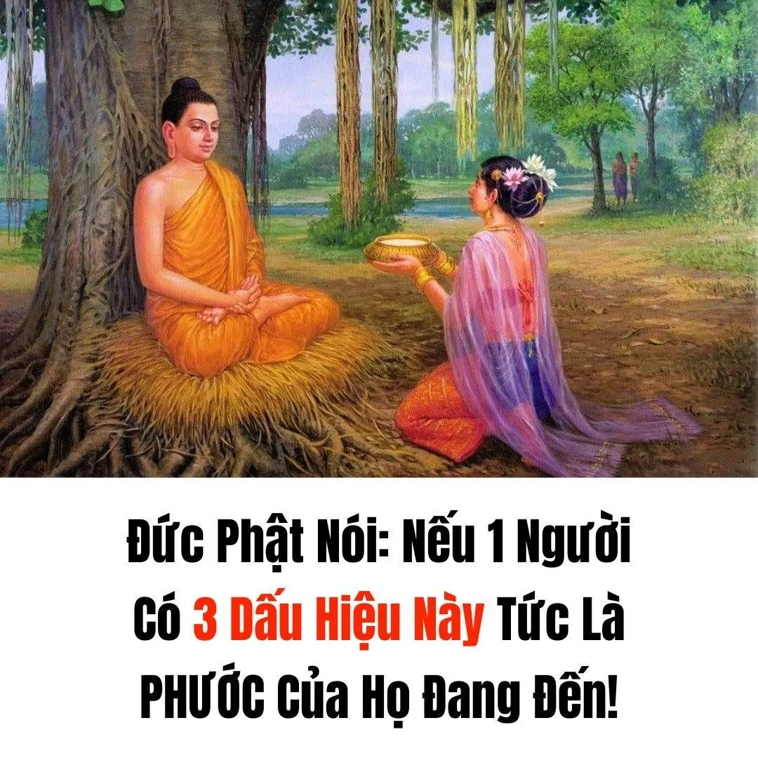 Đức Phật Nói: Nếu 1 Người Có 3 Dấu Hiệu Này Tức Là PHƯỚC Của Họ Đang Đến!