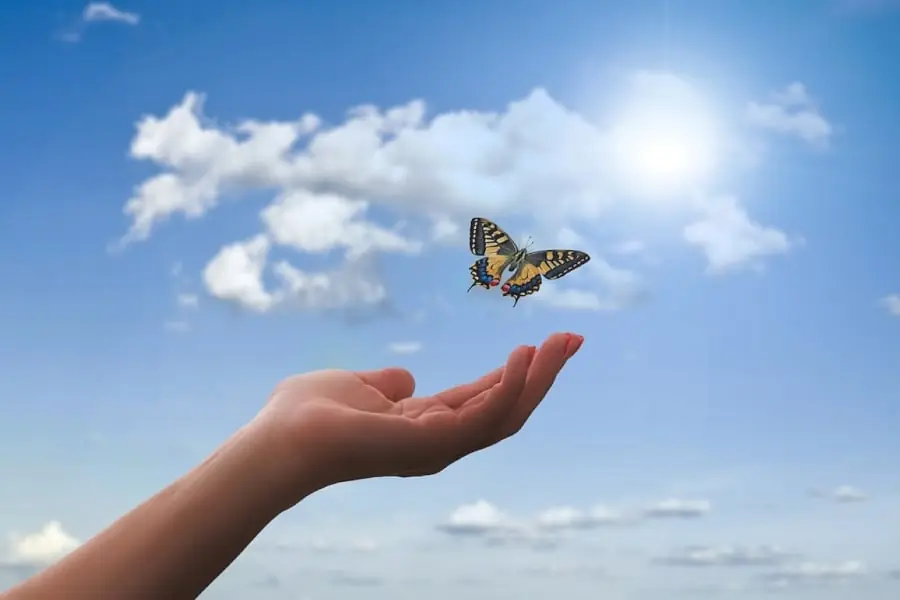 Những ai sinh vào 3 tháng Âm lịch này, tuổi già hưởng hết phúc phần thiên hạ