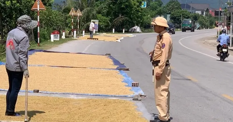 Ôtô phải đi thế nào khi nông dân chiếm đường phơi lúa?