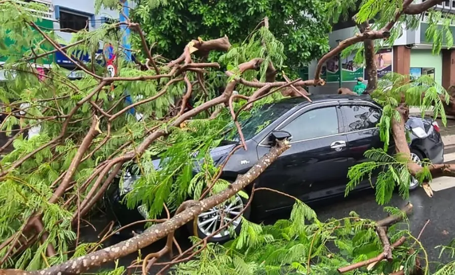 Xe bị ngập nước, cây đổ đè trong mưa bão có được bảo hiểm bồi thường không?