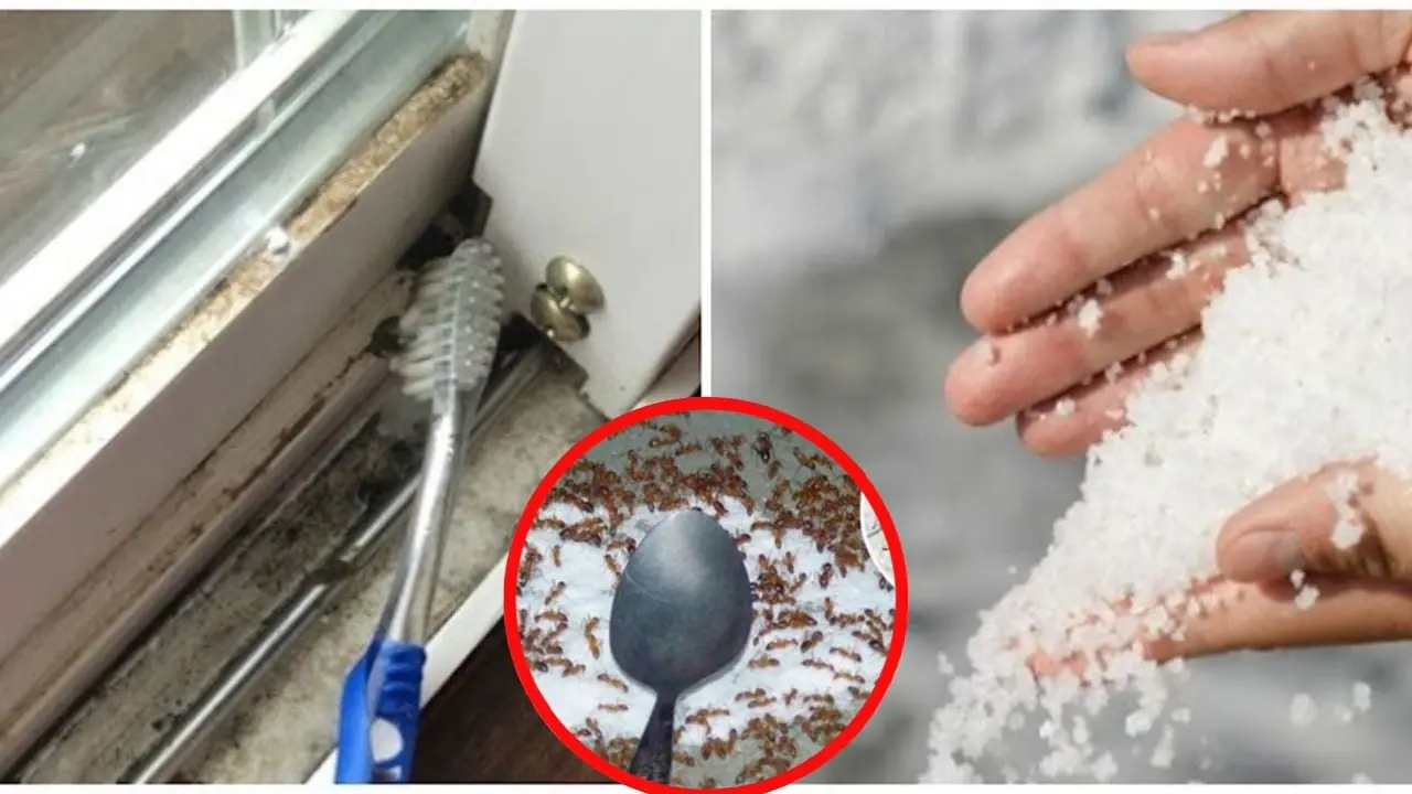 Vì sao nhà giàu thường hay rắc muối vào khe cửa? Hóa ra có công dụng quý ai cũng thích