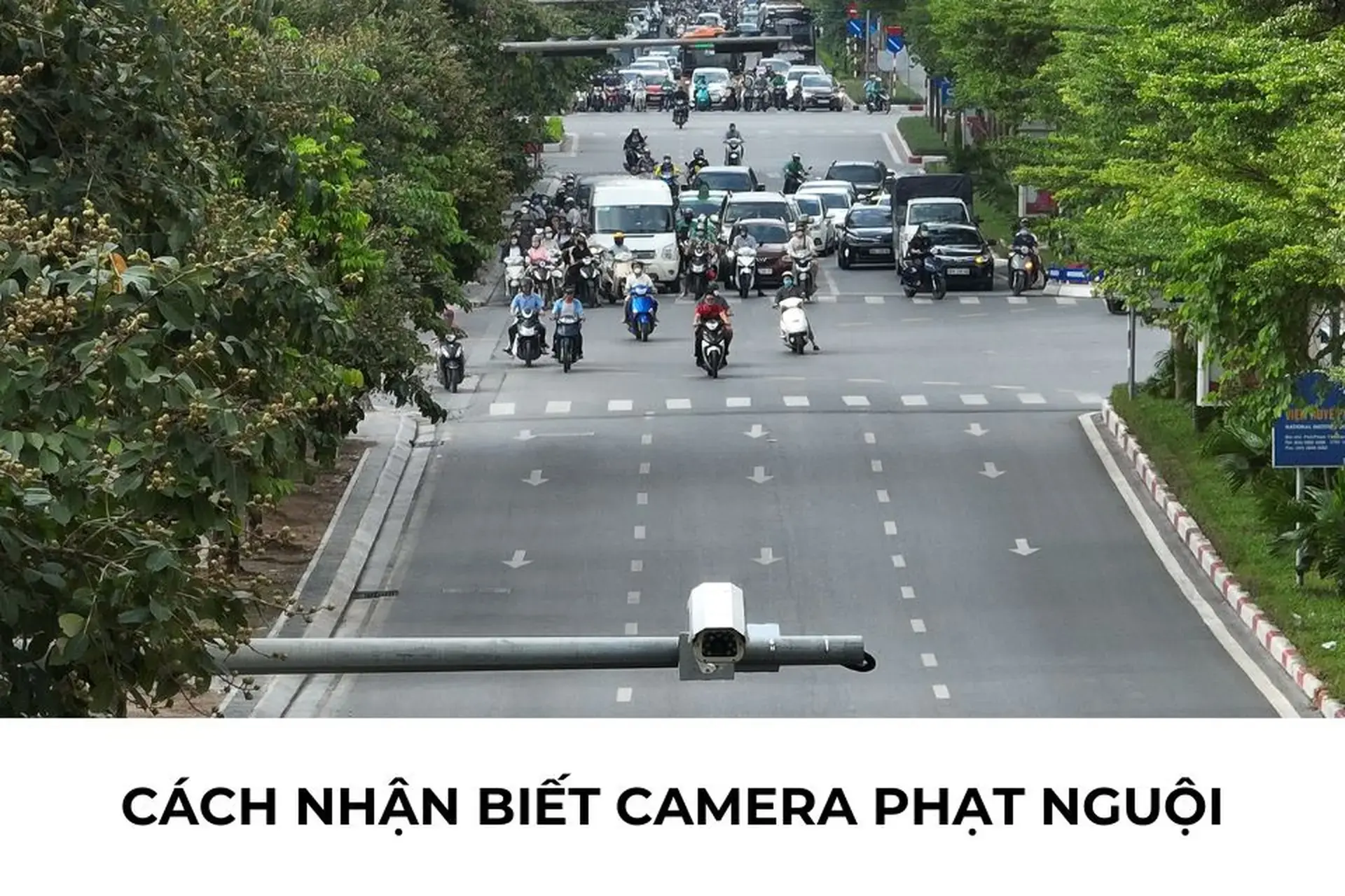 Danh sách 221 ô tô và xe máy bị phạt nguội trong tháng 9 ở Hà Nội