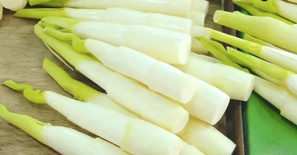 Ngày càng nhiều người tuvong vì s:uy th:ận, bác sĩ khuyên: Chớ dại đụng nhiều 5 loại rau này