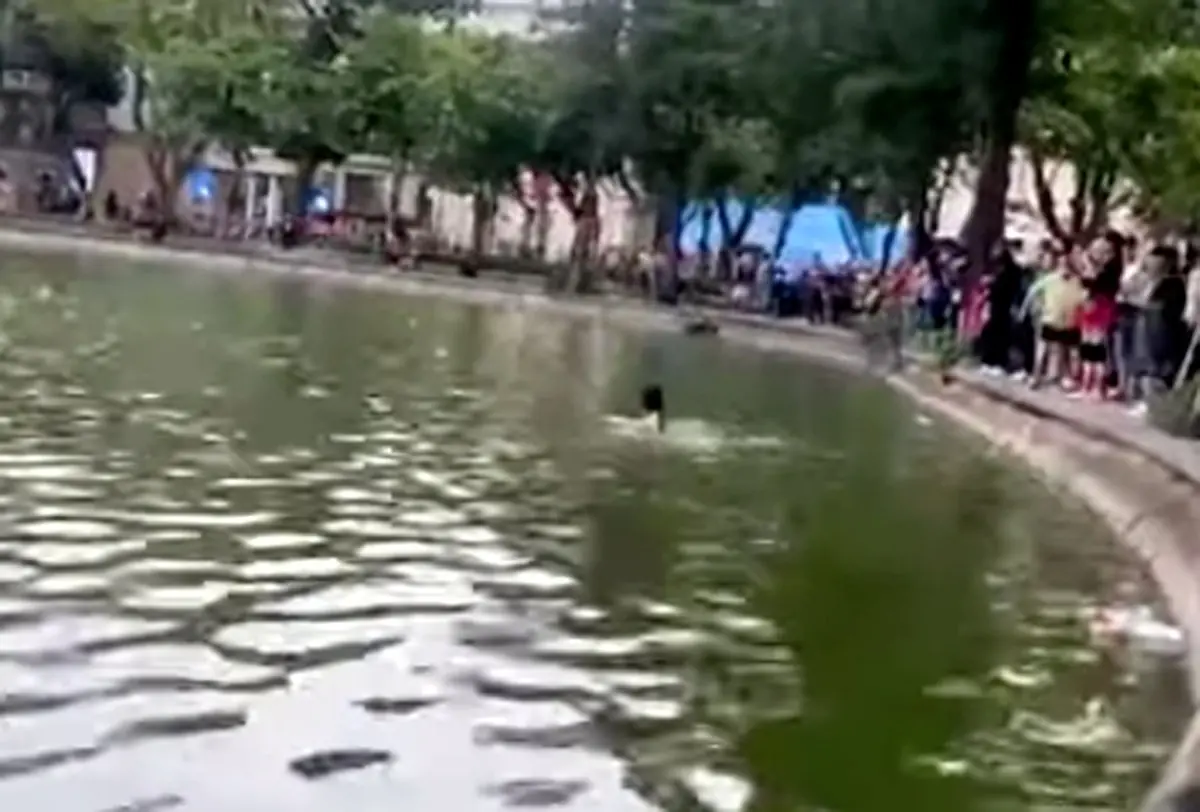 Thông tin CHÍNH THỨC vụ cô gái không qua khỏi ở hồ Hoàn Kiếm