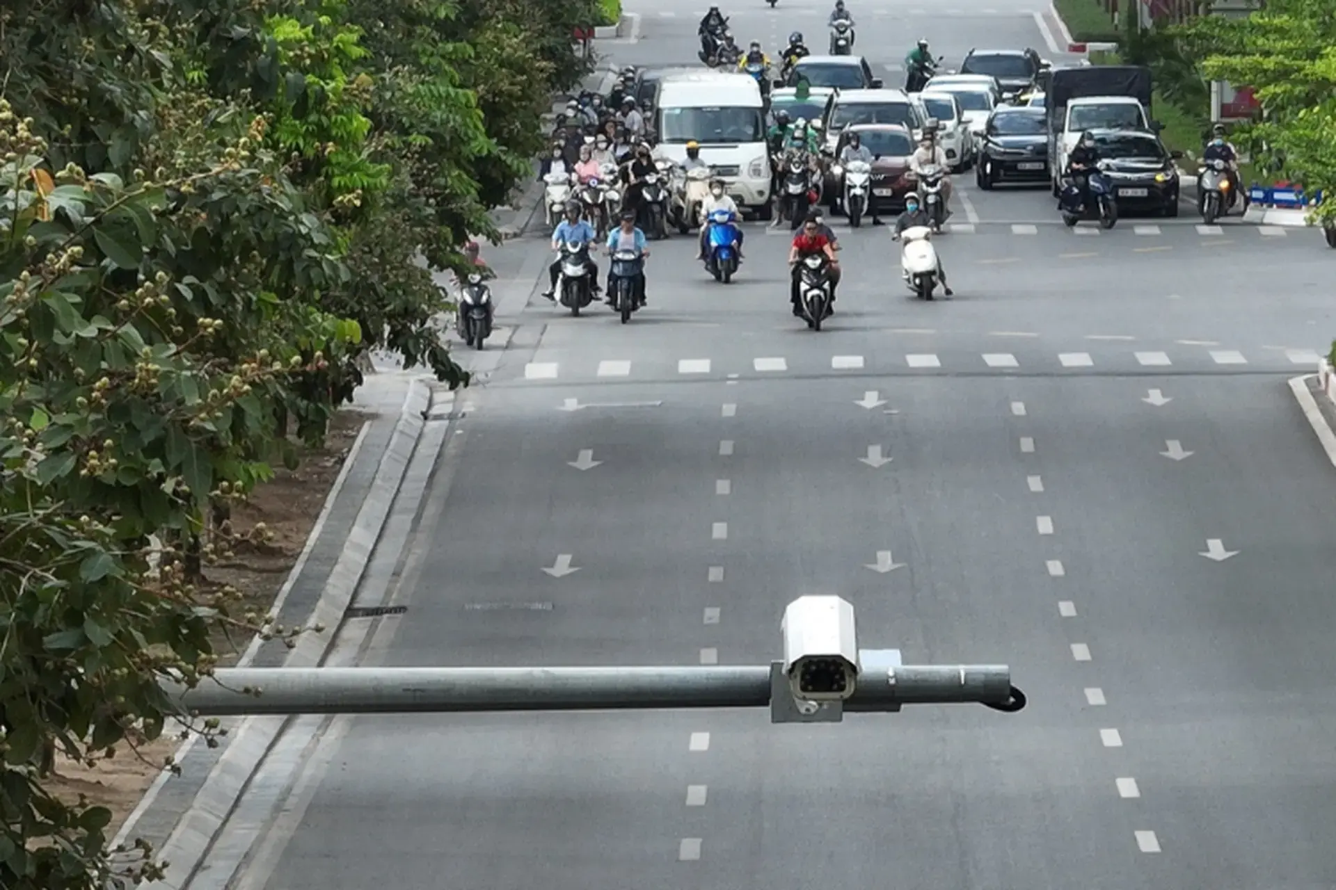 Tra cứu danh sách 150 xe máy đi ngược chiều bị CSGT TP.HCM phạt nguội