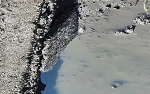 Phát hiện bộ hài cốt trong ao nuôi cá của người dân Hải Phòng