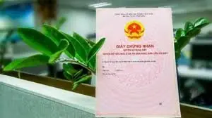 Hàng triệu người được hưởng lợi từ Luật Đất đai 2025: Quyền lợi đặc biệt chưa từng có, bỏ qua sẽ tiếc