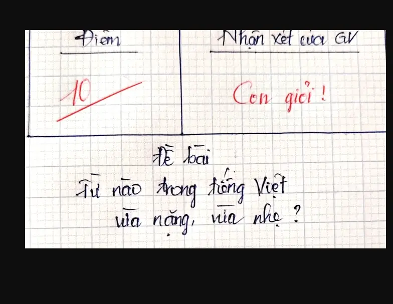 Từ nào trong Tiếng Việt vừa nặng, vừa nhẹ? - Trả lời đúng, bạn lọt top 1% người thông minh nhất!