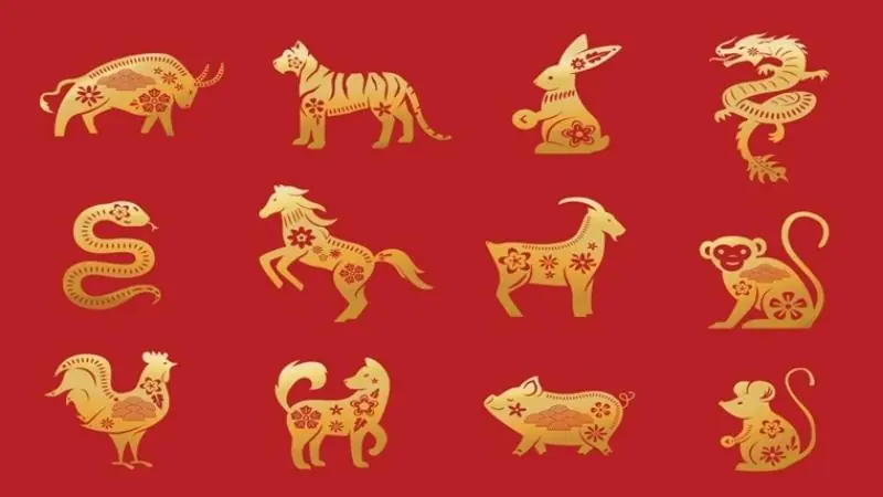 Tử Vi Con Giáp
