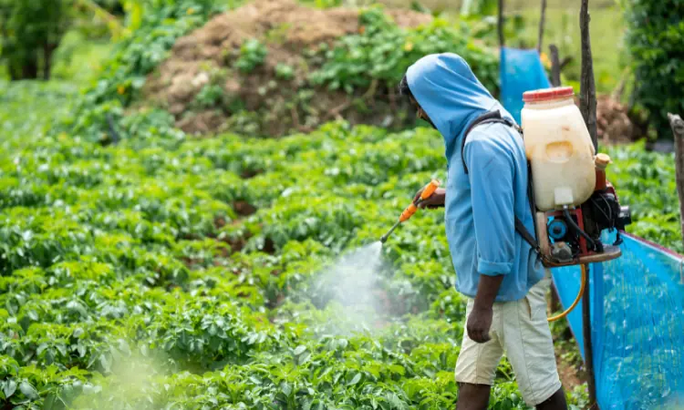 12 loại rau quả ngậm nhiều độc tố nhất năm 2025 được công bố, 2 cái tên quen thuộc lần đầu xuất hiện gây lo ngại