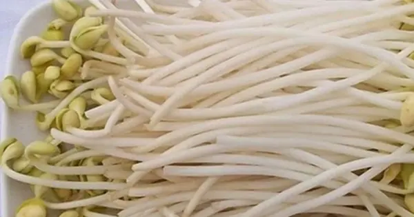 4 loại rau "độc" nhất thế giới âm thầm "phá gan", vậy mà thường xuất hiện trên bàn ăn nhiều gia đình