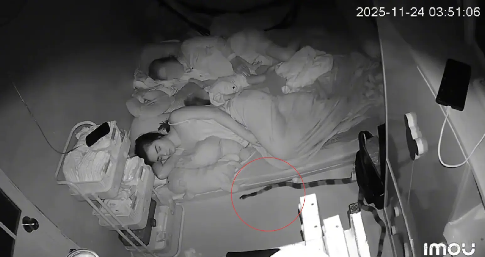 R:ắn độ:c gần 2m bò sát mép đệm lúc rạng sáng ở TPHCM, mẹ trẻ bình tĩnh xử lý