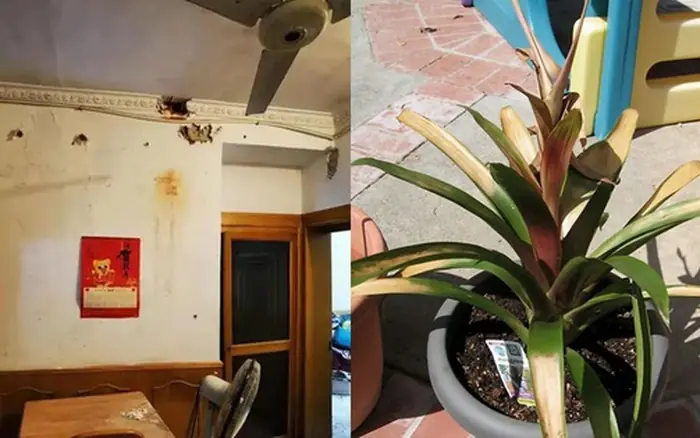 Phòng khách càng phạm 5 thứ này, tài vận gia đình càng xuống - dọn lại sớm để con cháu thịnh vượng lâu dài