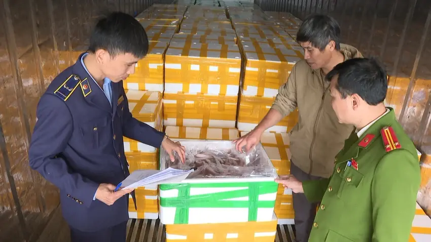 Kinh hoàng 10 tấn cá khoai Trung Quốc tẩm formol cực độc chờ lên bàn ăn
