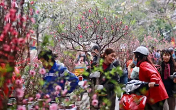 Tặng 1 triệu đồng tiền Tết Nguyên đán 2026 cho người lao động đơn thân theo Nghị quyết 26 ra sao?